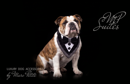 Wedding Dog Bandana Suite