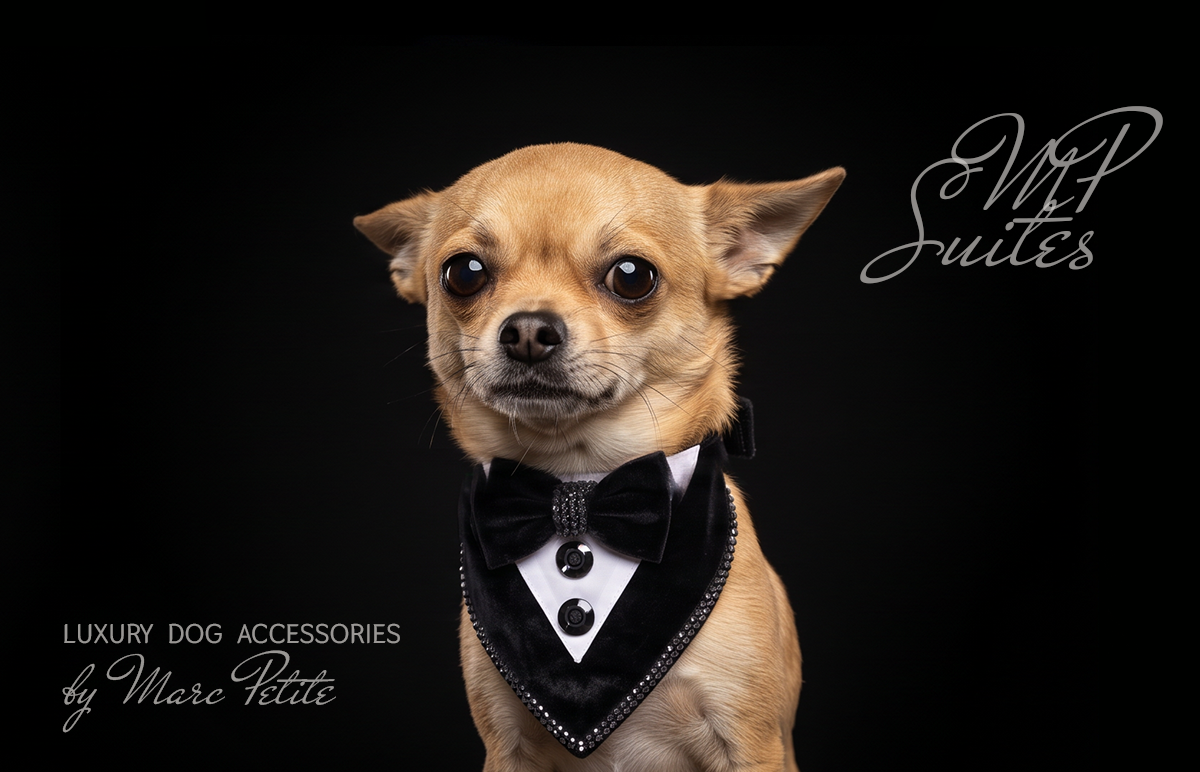 Wedding Dog Bandana Suite