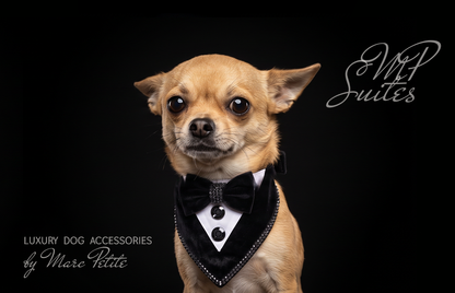 Wedding Dog Bandana Suite