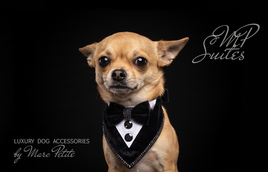 Wedding Dog Bandana Suite