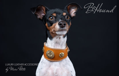 Handmade dog collar