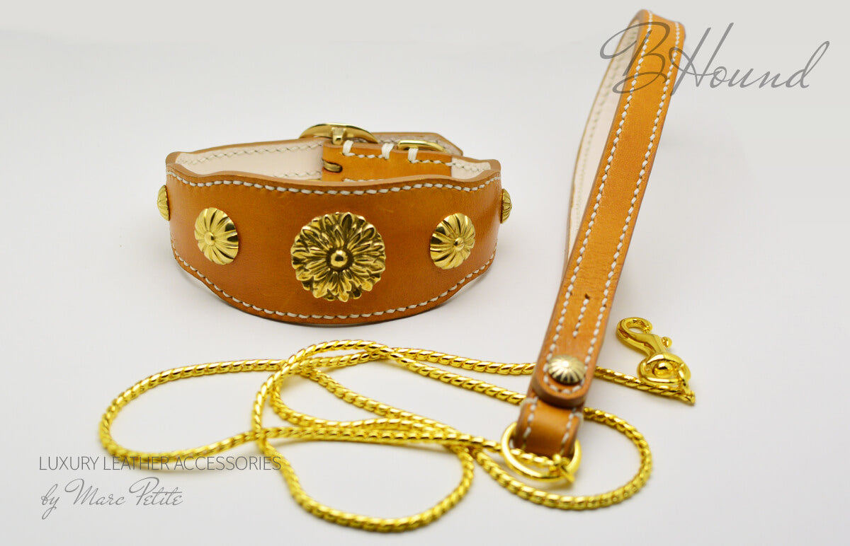 Handmade dog collar & leash