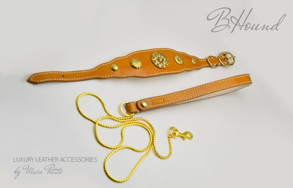 Handmade dog collar & leash