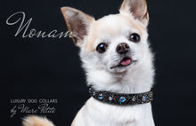 Load image into Gallery viewer, Luxury Dog Collar