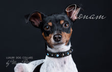 Load image into Gallery viewer, Swarovski Dog Collar