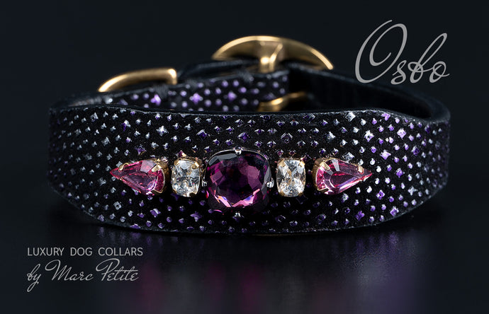 Royal Dog Collar with Swarovski Crystals