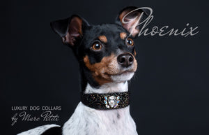 Designer Dog Collar with swarovski crystals