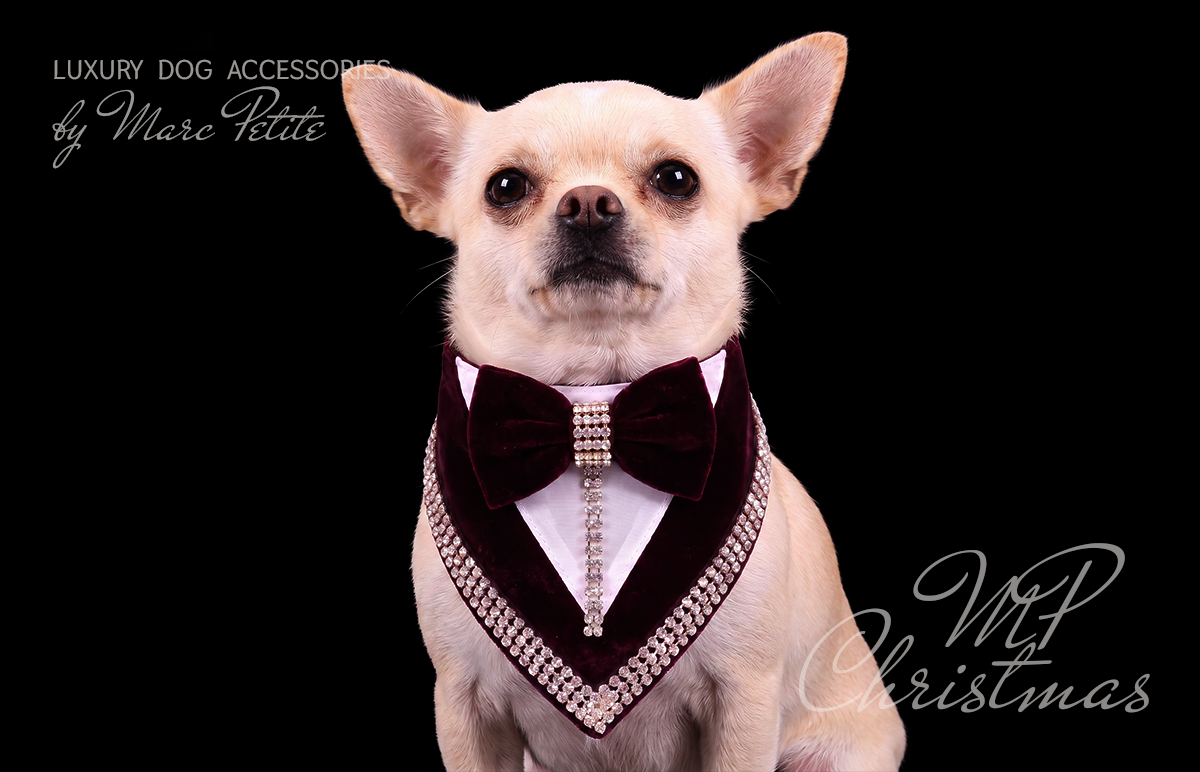 MP Suites Red Dog Bandana