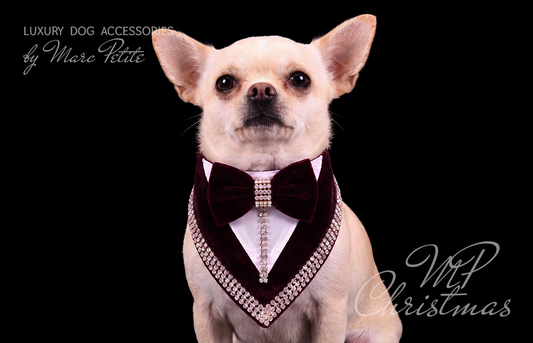 MP Suites Red Dog Bandana