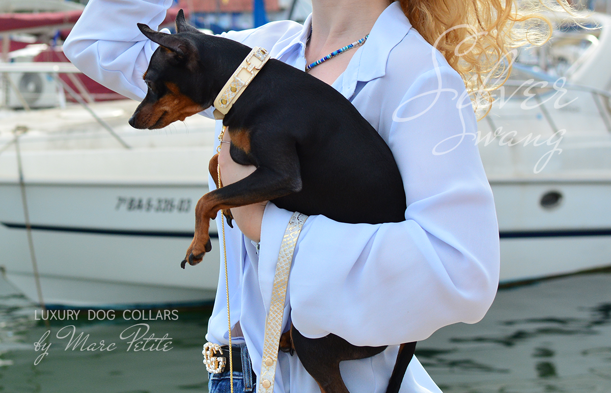 Designer Dog collar for toy