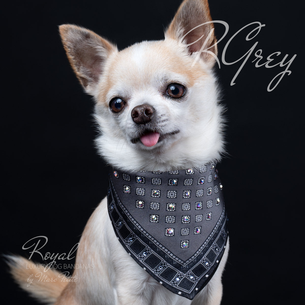 Swarovski dog bandana