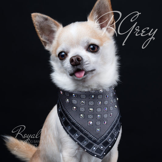 Swarovski dog bandana