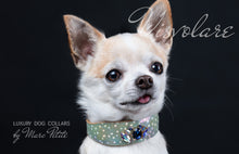 Load image into Gallery viewer, Luxury Dog Collar