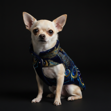 Load image into Gallery viewer, Irigenius Wings