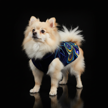 Load image into Gallery viewer, Irigenius Wings