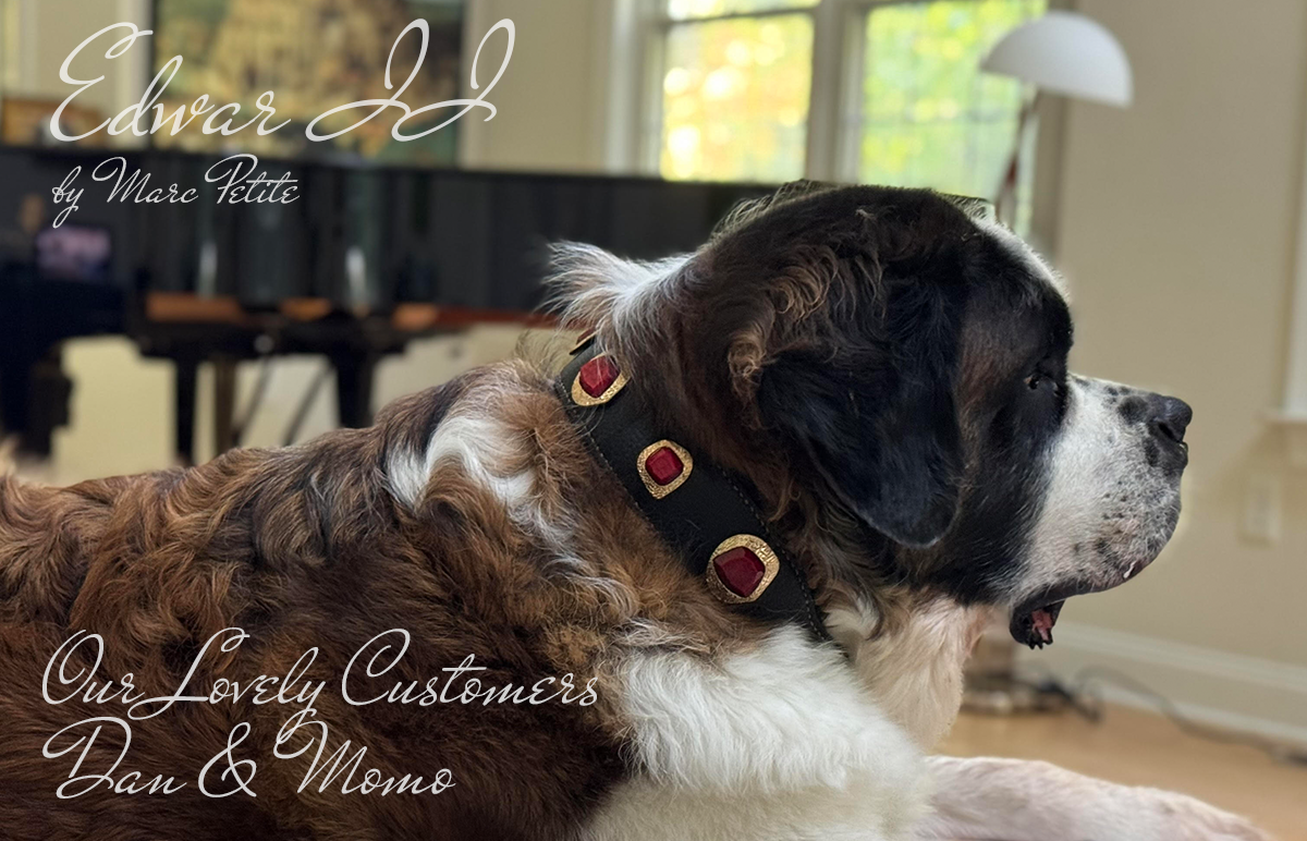 Sant Bernard Dog Collar