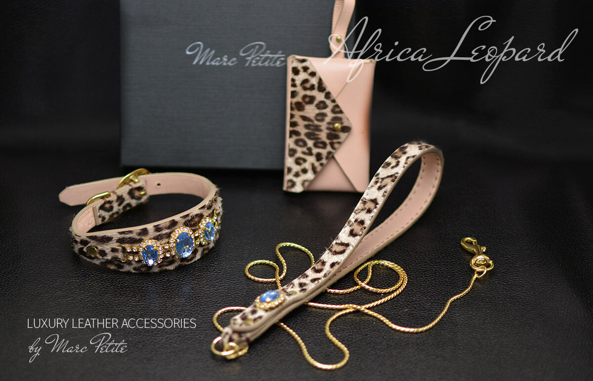 Leopard dog collar and Leash