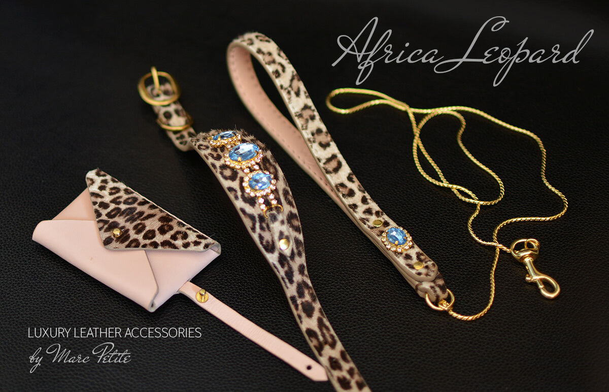 Leopard dog collar and Leash