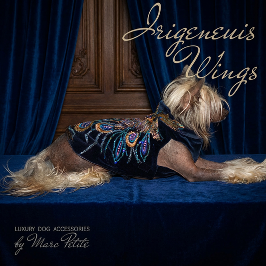 Irigenius Wings