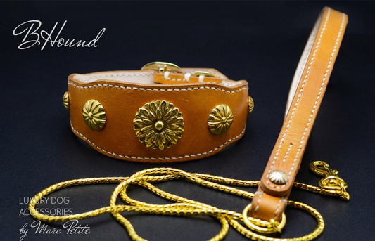 BHound Dog Collar & Leash