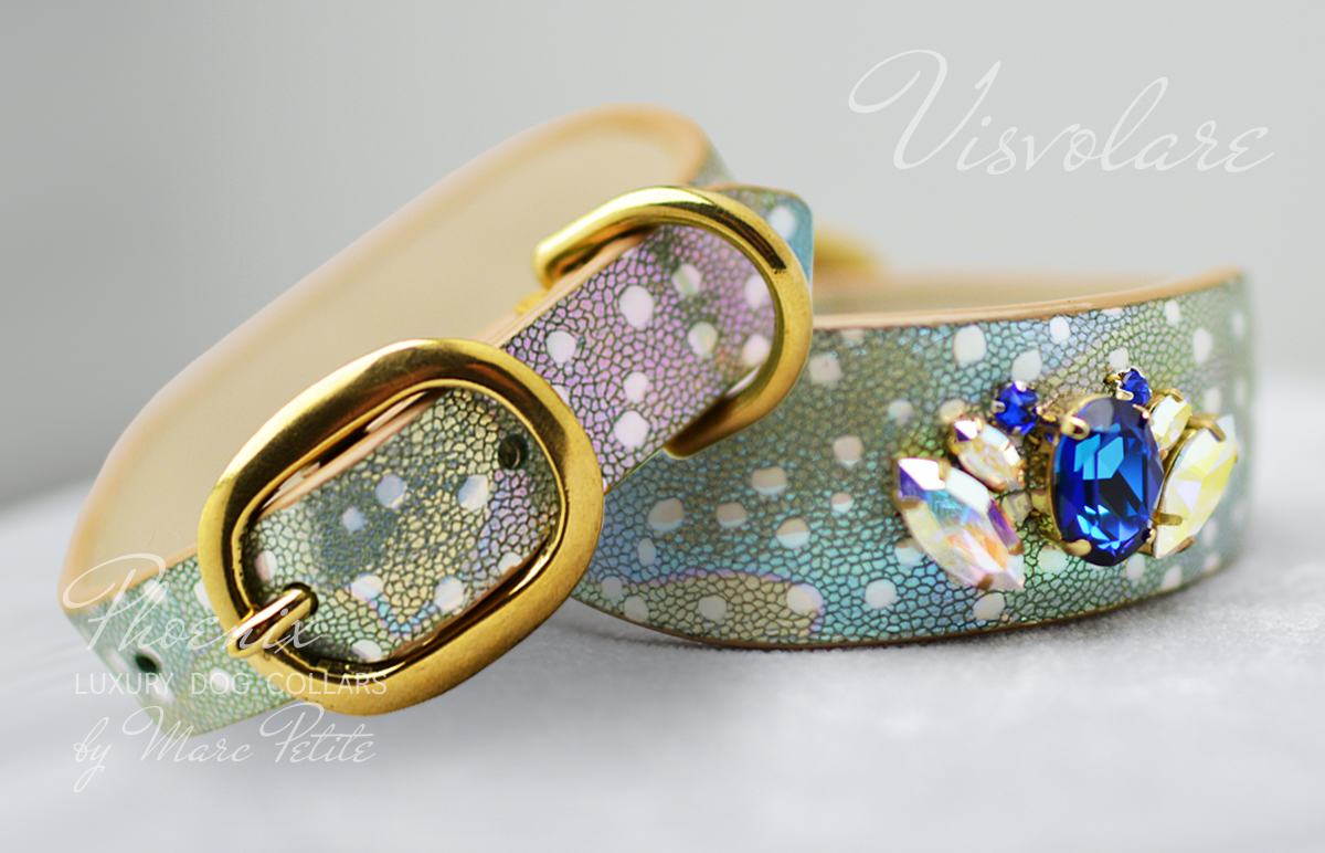 Designer Dog Collar