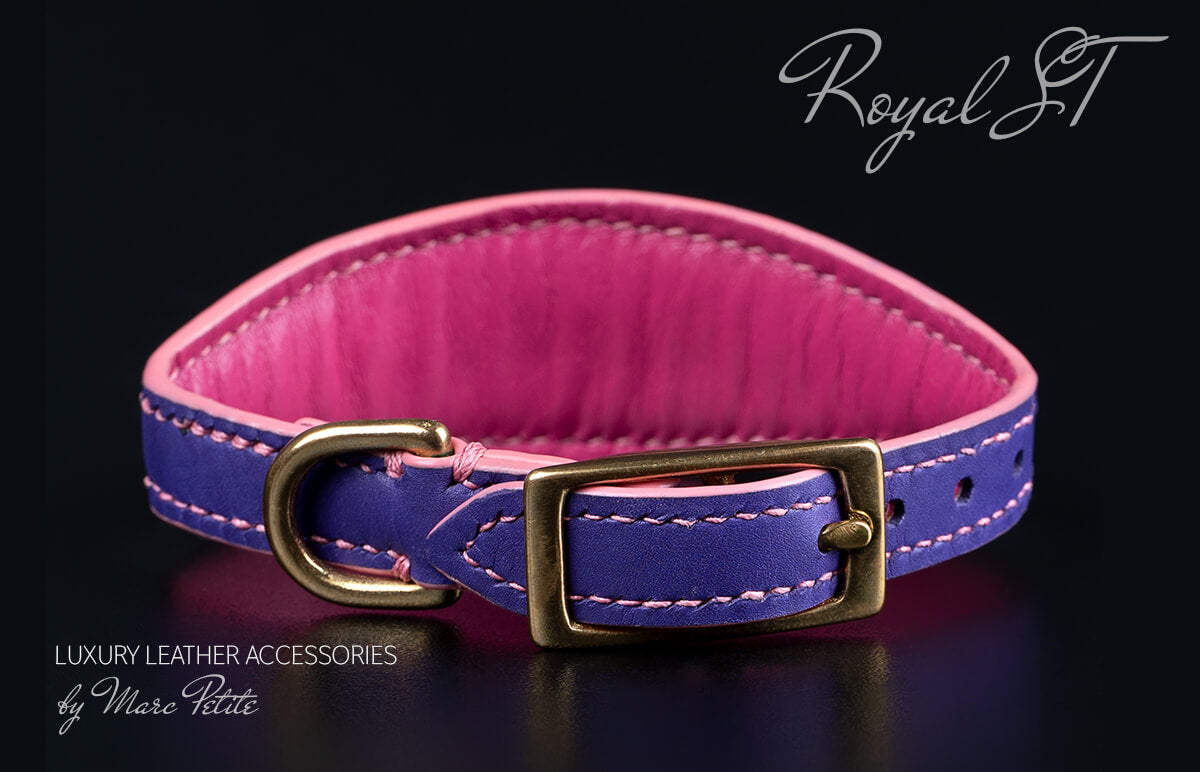 Royal Dog Collar with Swarovski in purple leather
