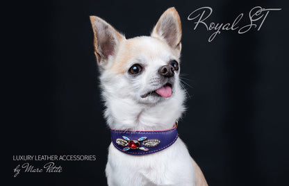 Royal Dog Collar with Swarovski in purple leather