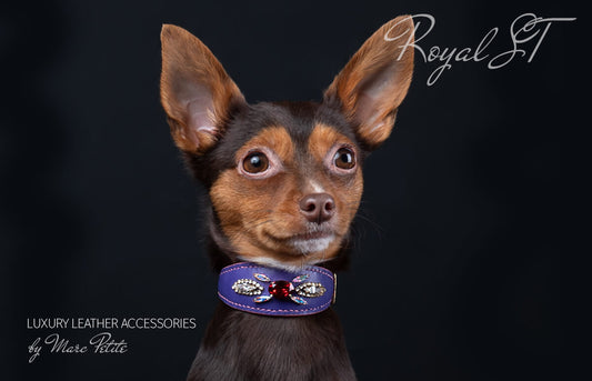 Royal Dog Collar with Swarovski in purple leather