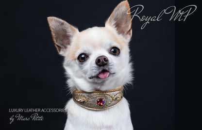 Royal - Swarovski Dog Collar - Chihuahua