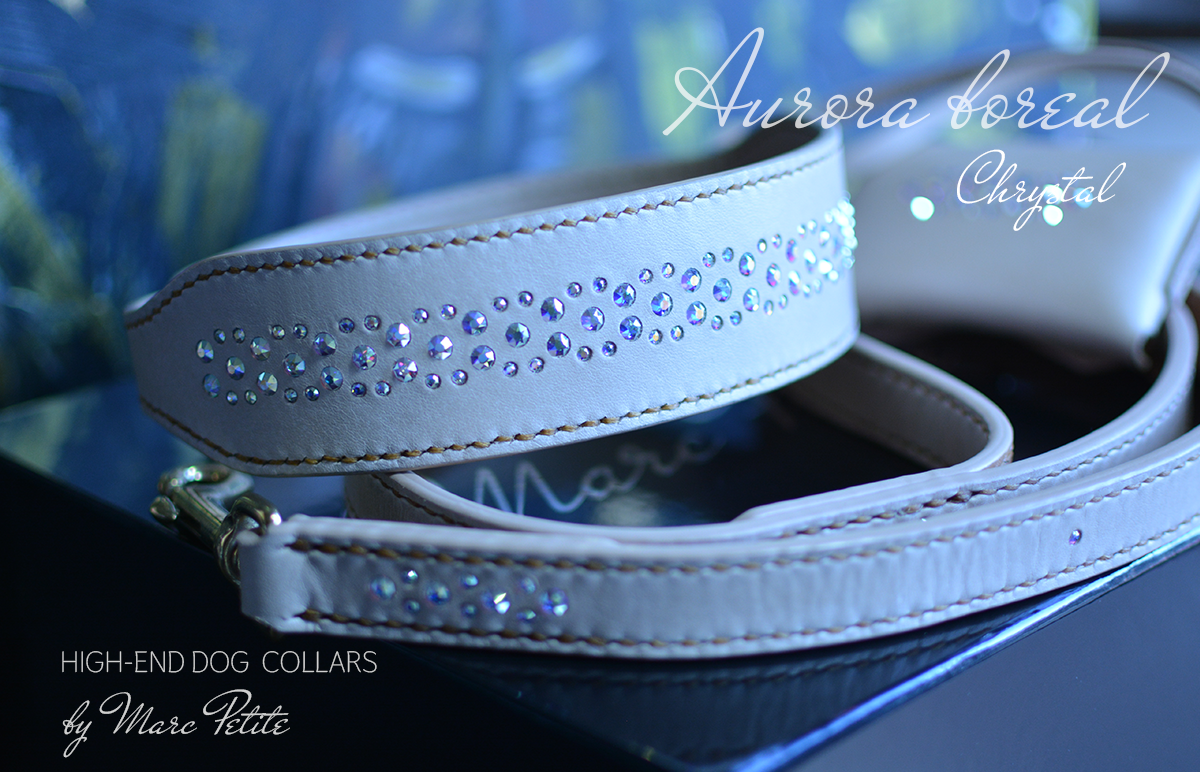 Swarovski Dog Collar & Leash