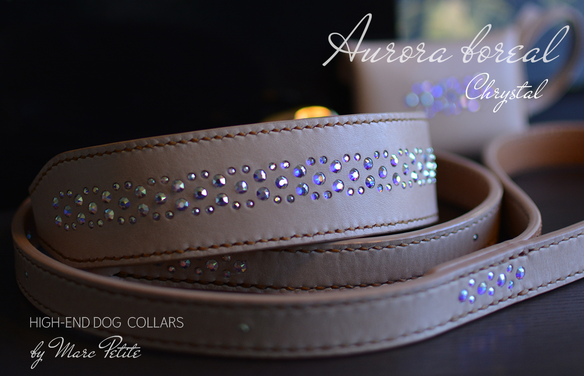 Swarovski Dog Collar & Leash