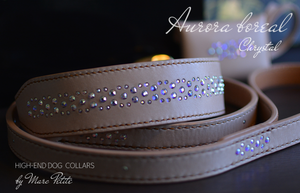 Swarovski Dog Collar & Leash