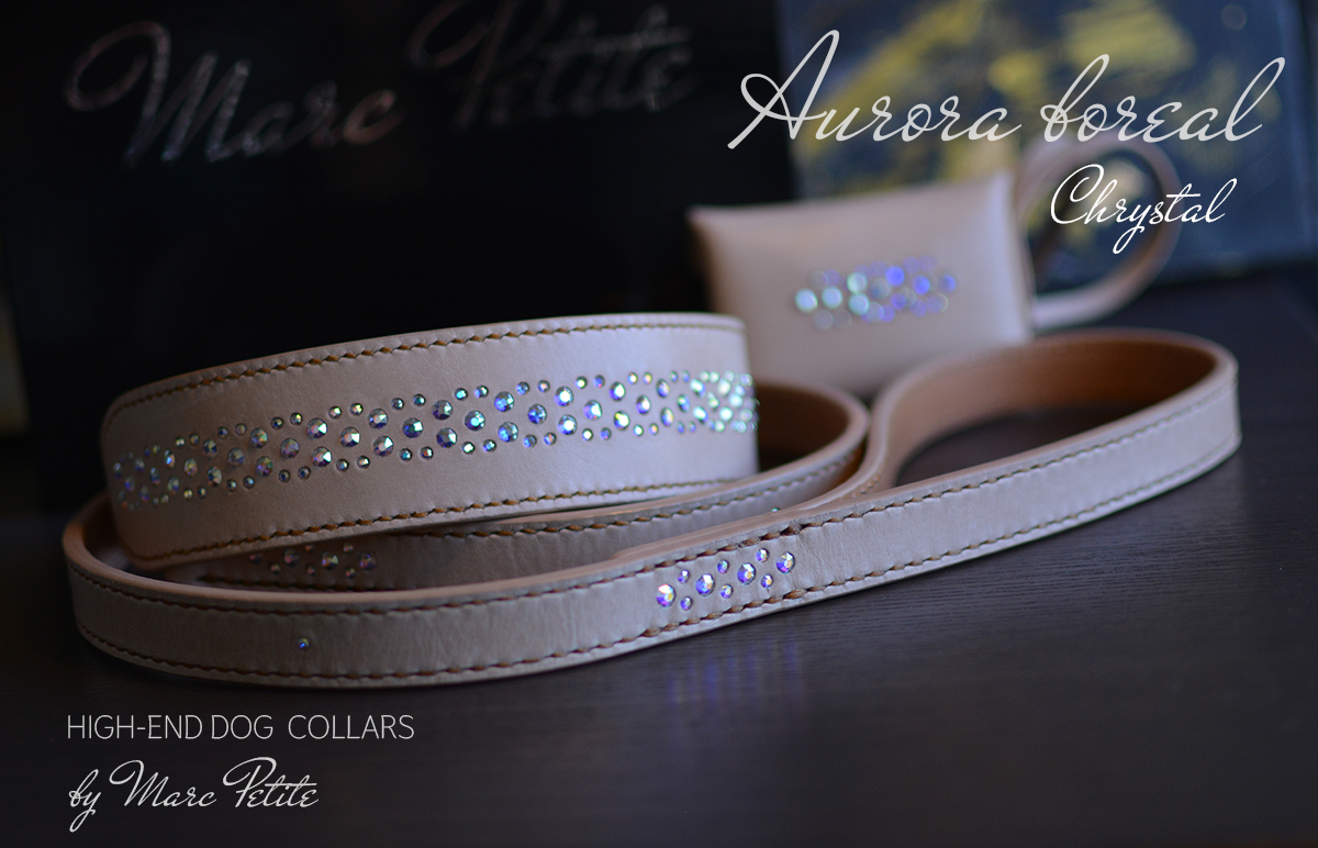 Swarovski Dog Collar & Leash