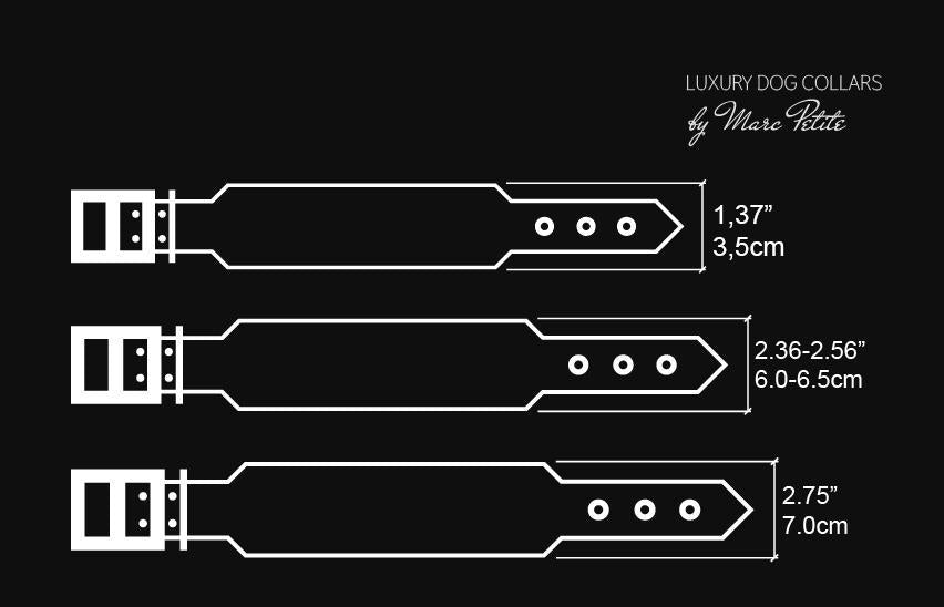 Crazzy Infinity Dog Collar & Leash