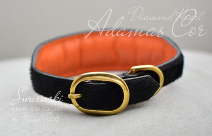 dog collar