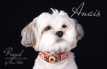 Load image into Gallery viewer, Luxury Dog Collar for maltese