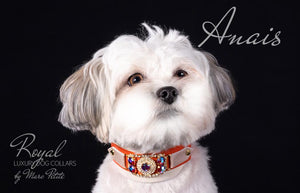 Luxury Dog Collar for maltese