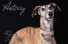Load image into Gallery viewer, Greyhound Collar