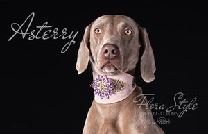 Luxury Dog Collar  with crystal flower