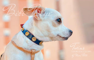 Chic Dog Collar for toy breeds