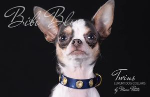 Chihuahua dog collar