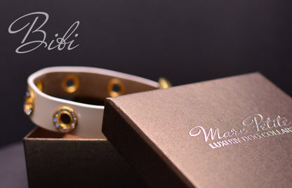 Designer dog collars