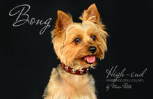 Load image into Gallery viewer, Yorkie dog collar