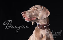 Load image into Gallery viewer, Weimaraner Dog Collar