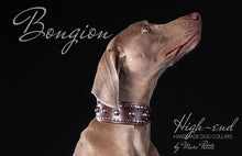 Load image into Gallery viewer, Designer Dog Collars