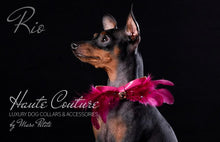 Load image into Gallery viewer, Fuchsia Leather Dog Bow Tie