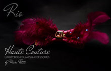 Load image into Gallery viewer, Fuchsia Carnival Dog Bow Tie