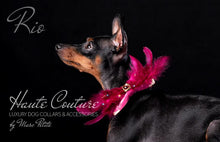Load image into Gallery viewer, “Rio” - Luxury Dog Bow Tie