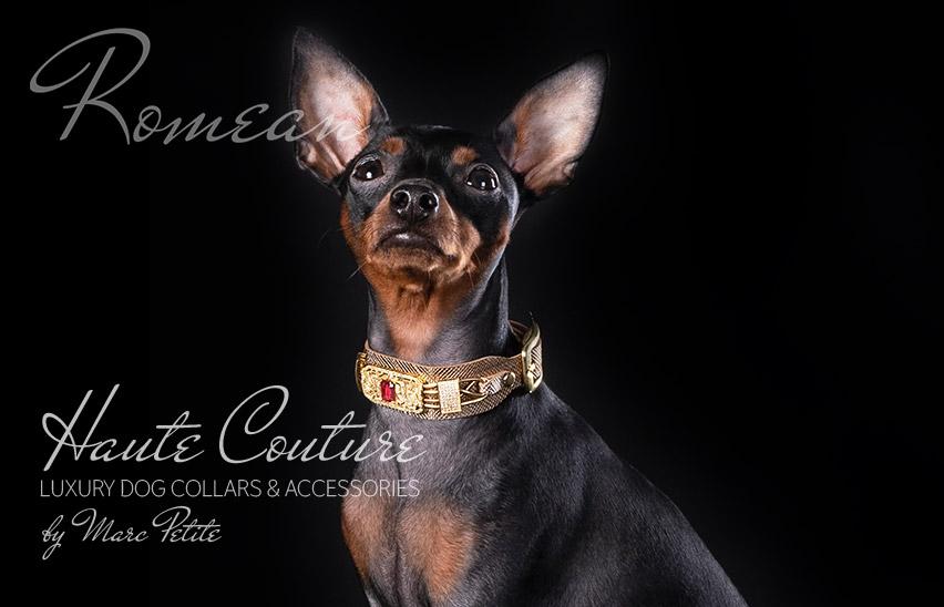 Royal Haute Couture Gold Dog Collar