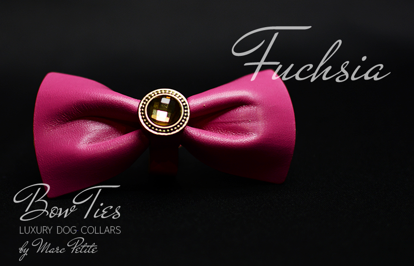 Leather Bow Tie Dog Collar